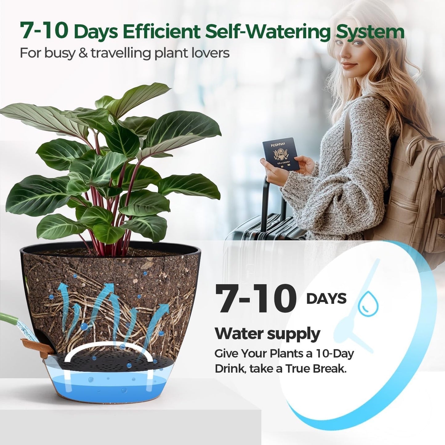 Self-Watering Indoor Planter