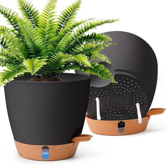 Self-Watering Indoor Planter