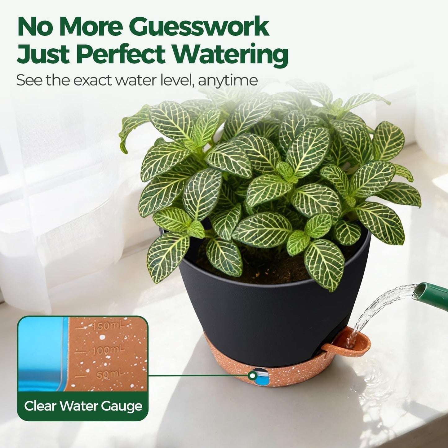 Self-Watering Indoor Planter